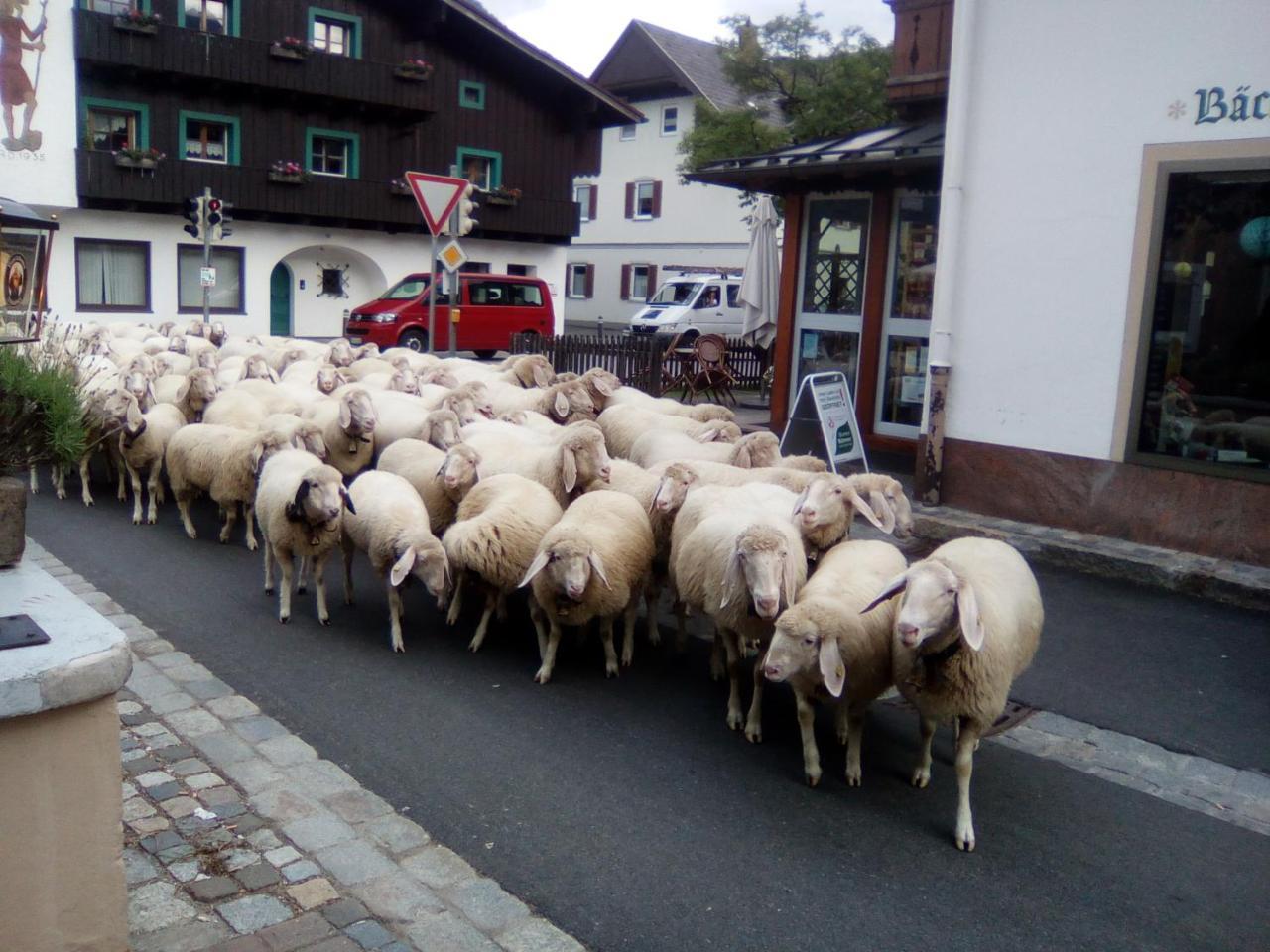 Landgasthof Kirchmayer Фархант Екстериор снимка